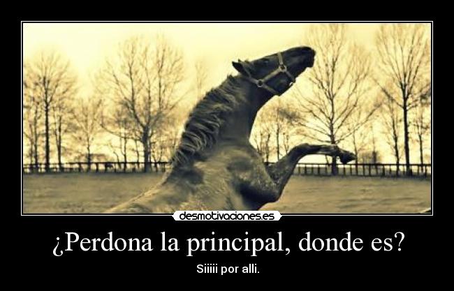 carteles habia que preguntar desmotivaciones