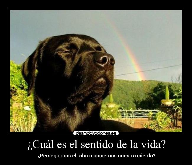 ¿Cuál es el sentido de la vida? - 