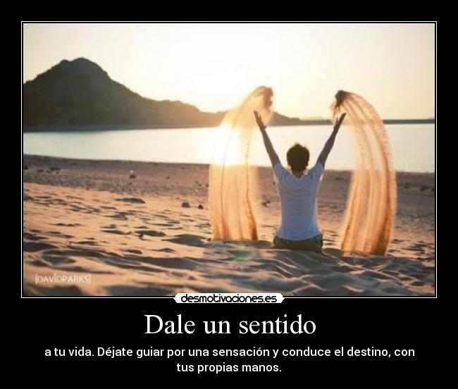 carteles paulaaa19 seis historias entorno mario desmotivaciones