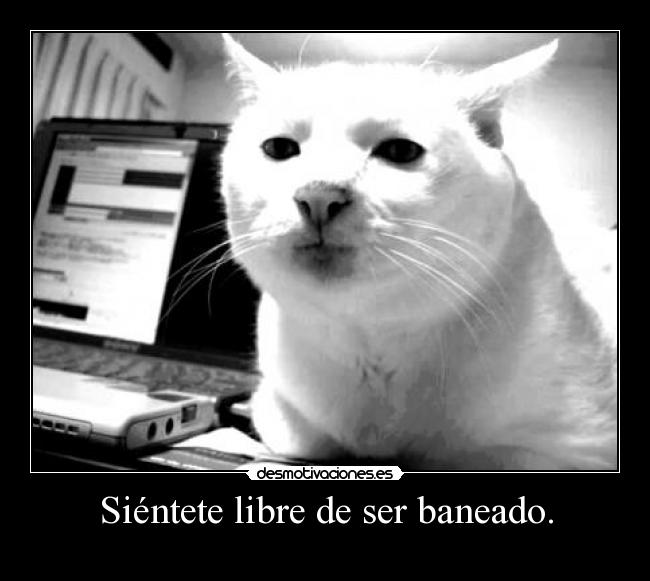 Siéntete libre de ser baneado. - 