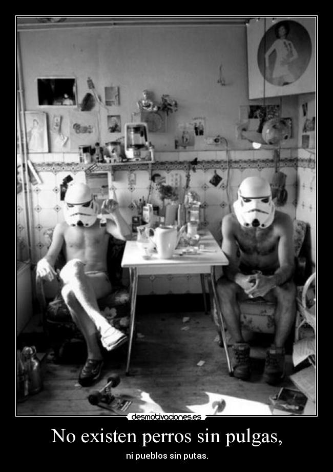 No existen perros sin pulgas, -