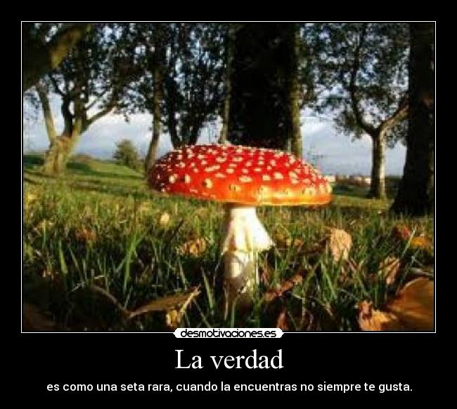 La verdad - es como una seta rara, cuando la encuentras no siempre te gusta.