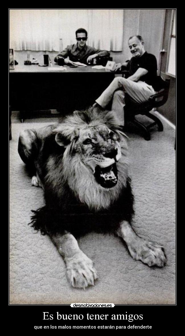 Es bueno tener amigos -