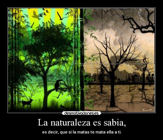 La naturaleza es sabia, - es decir, que si la matas te mata ella a ti.