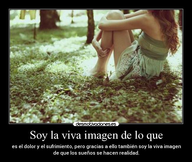 Soy la viva imagen de lo que -