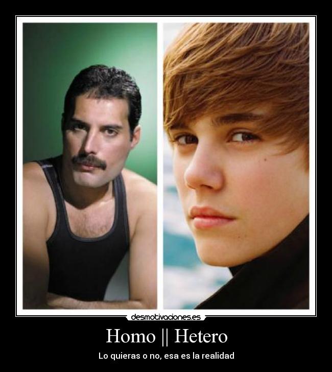 Homo || Hetero - 