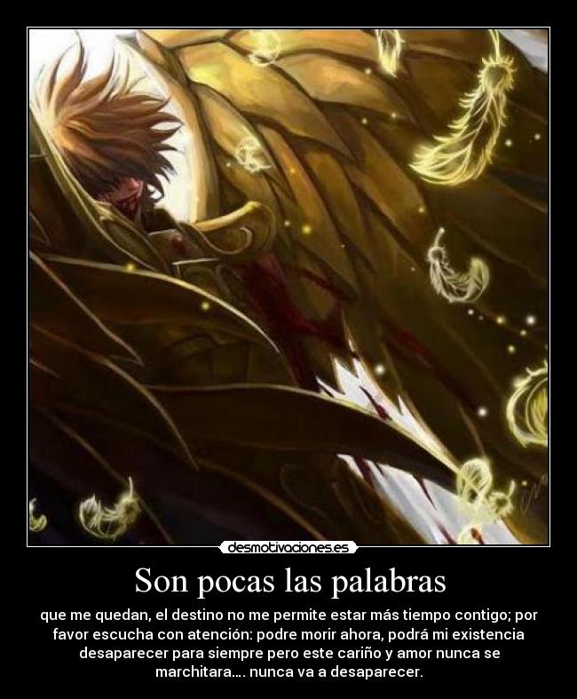 Son pocas las palabras - que me quedan, el destino no me permite estar más tiempo contigo; por
favor escucha con atención: podre morir ahora, podrá mi existencia
desaparecer para siempre pero este cariño y amor nunca se
marchitara…. nunca va a desaparecer.