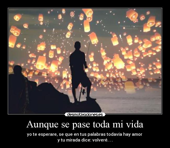 Aunque se pase toda mi vida - yo te esperare, se que en tus palabras todavía hay amor
y tu mirada dice: volveré. . .