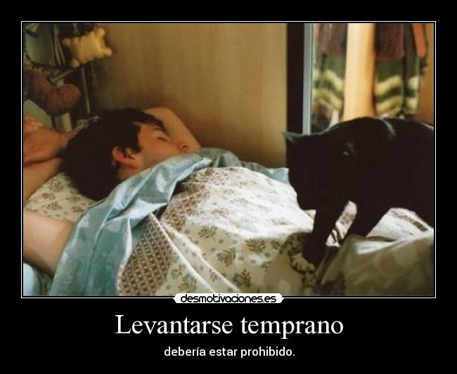 Levantarse temprano - debería estar prohibido.