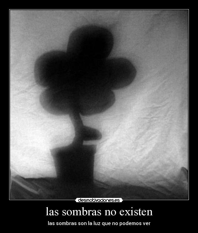 las sombras no existen -