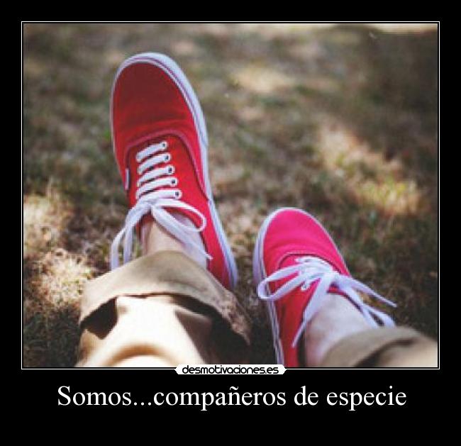 Somos...compañeros de especie -