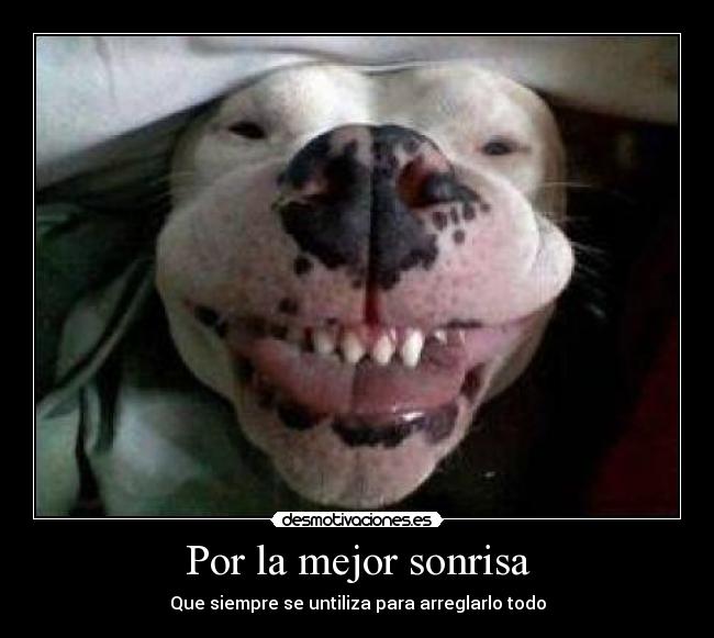 Por la mejor sonrisa - Que siempre se untiliza para arreglarlo todo