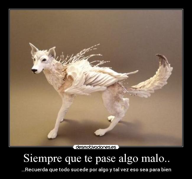 Siempre que te pase algo malo.. - ...Recuerda que todo sucede por algo y tal vez eso sea para bien