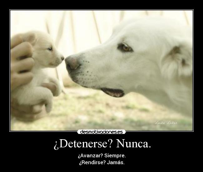 ¿Detenerse? Nunca. - ¿Avanzar? Siempre.
¿Rendirse? Jamás.