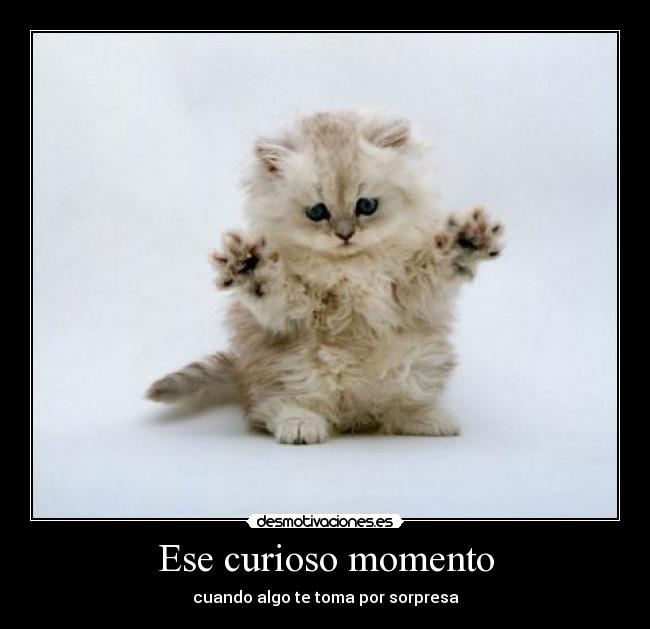 Ese curioso momento -
