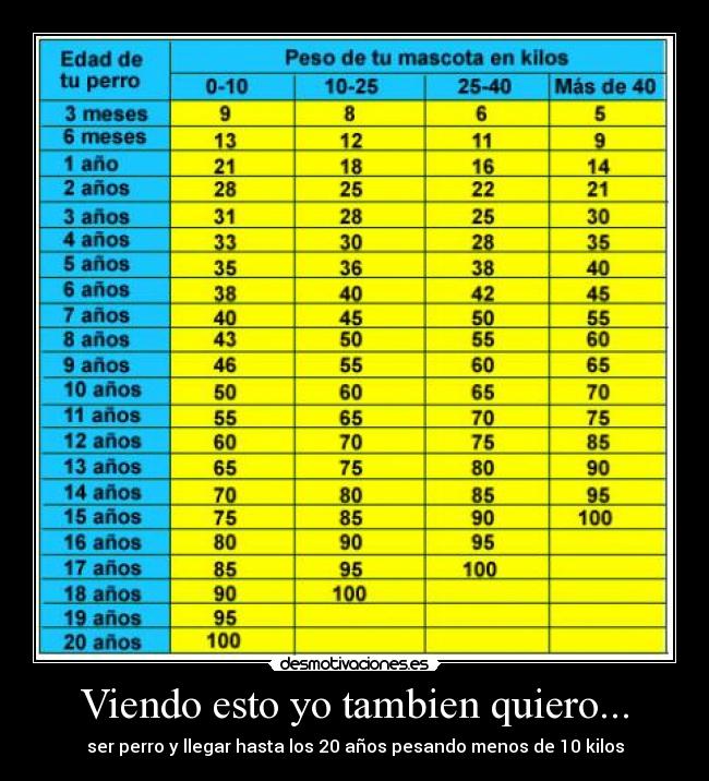 Viendo esto yo tambien quiero... - ser perro y llegar hasta los 20 años pesando menos de 10 kilos