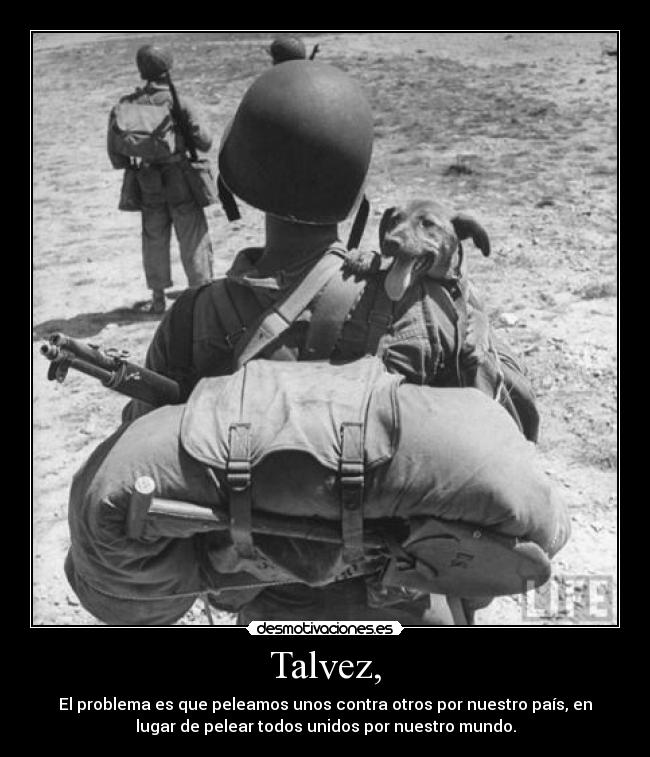 carteles talvez soldado perro guerra estupidez problema pelear pais mundo planeta vida sociedad desmotivaciones