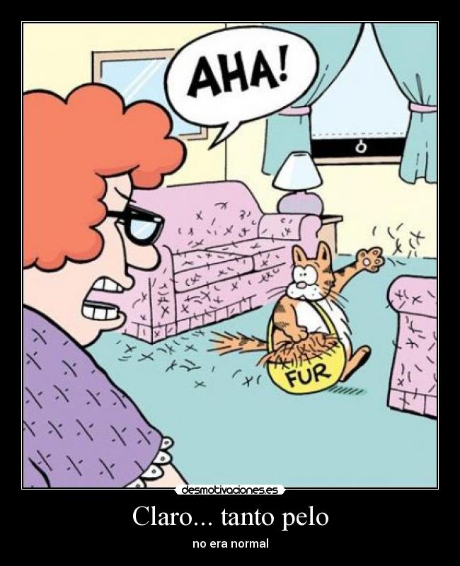 Claro... tanto pelo -