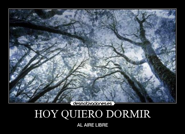 HOY QUIERO DORMIR -