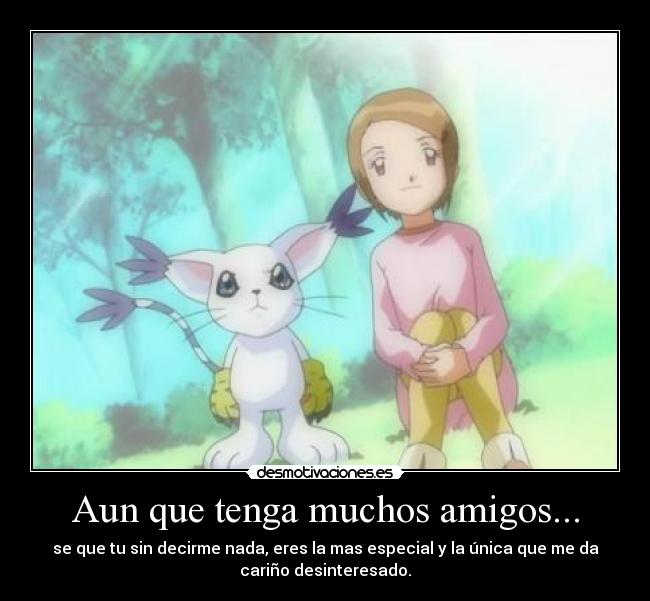 Aun que tenga muchos amigos... -