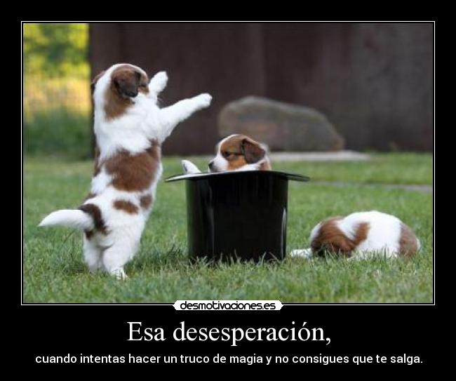 Esa desesperación, -
