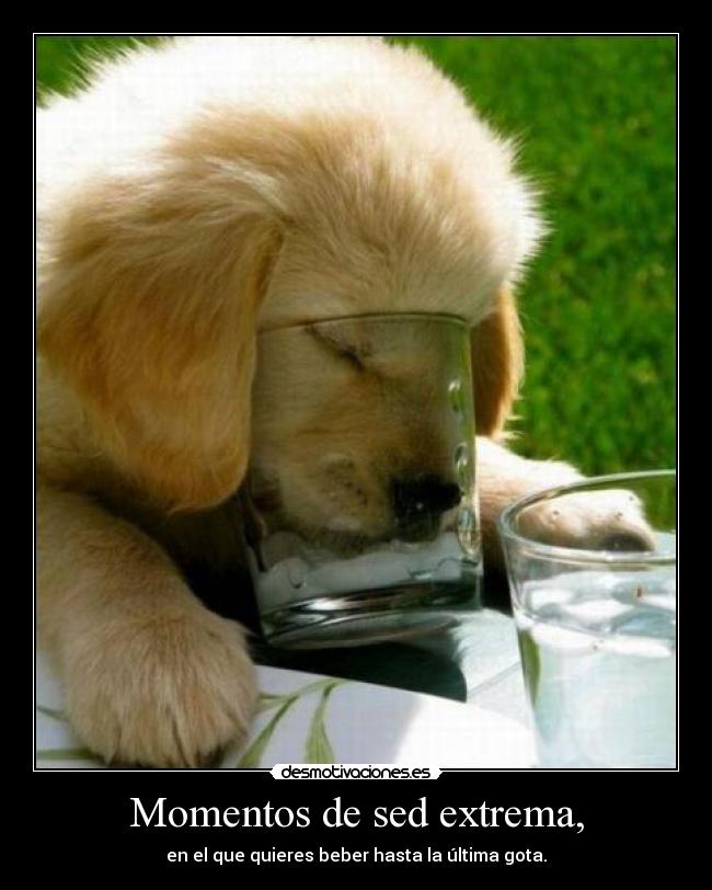 Momentos de sed extrema, -