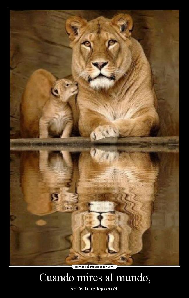 Cuando mires al mundo, - 