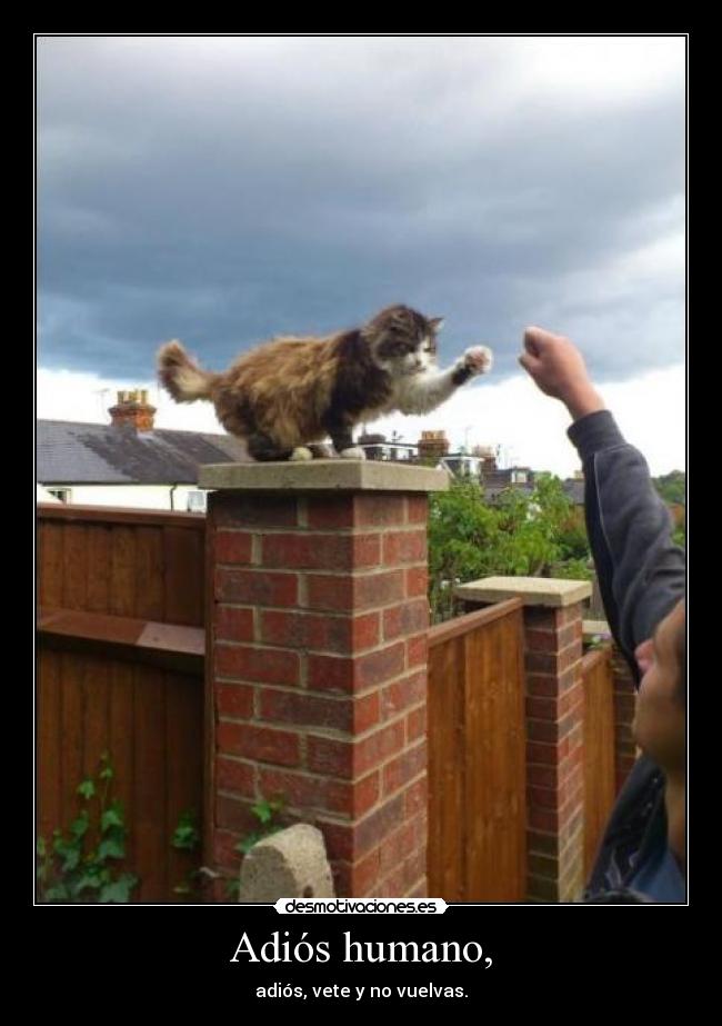Adiós humano, - adiós, vete y no vuelvas.