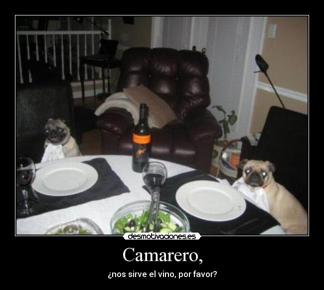 Camarero, - ¿nos sirve el vino, por favor?