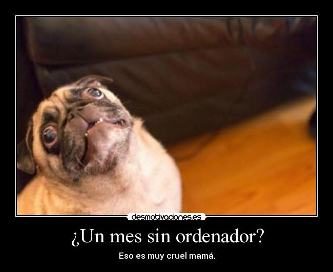 ¿Un mes sin ordenador? - Eso es muy cruel mamá.