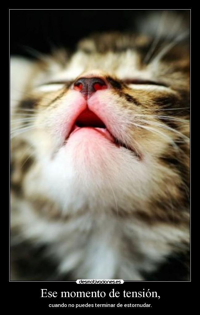 Ese momento de tensión, - cuando no puedes terminar de estornudar.