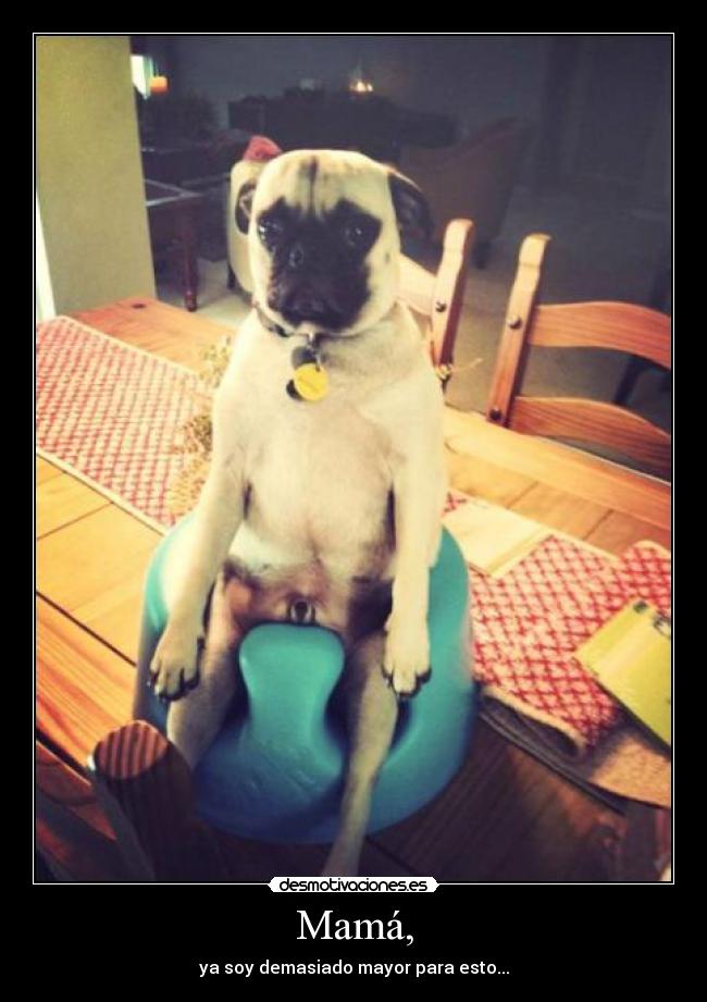 Mamá, - ya soy demasiado mayor para esto...