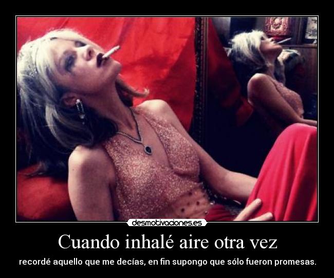 carteles apoyo julian assange pasa nada que conste desmotivaciones