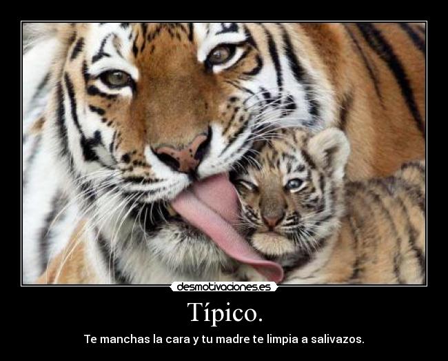 Típico. - Te manchas la cara y tu madre te limpia a salivazos.