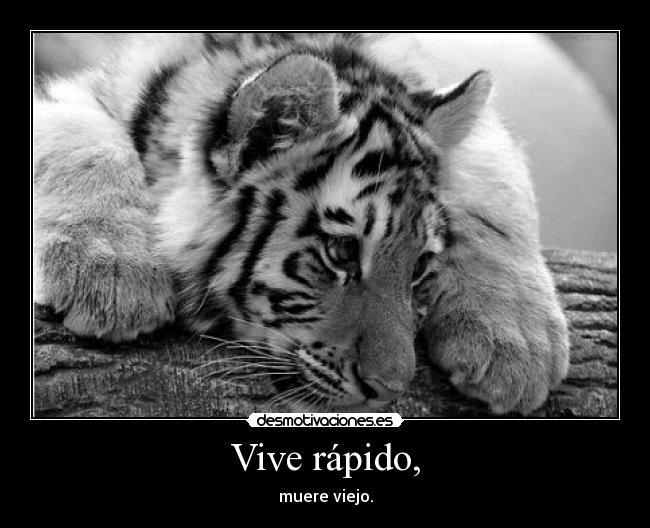 carteles desmo02 live fast die old palabras lemmy kilmister hook desmotivaciones