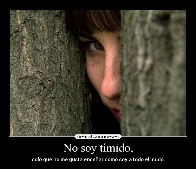 carteles clanmeloacabodeinventar seguro que triunfa desmotivaciones