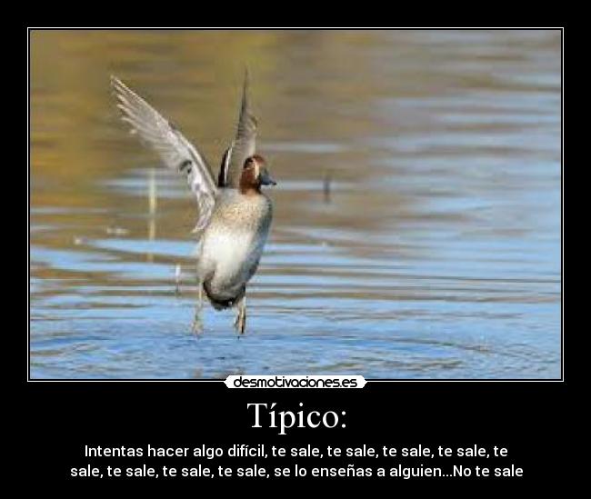 Típico: - Intentas hacer algo difícil, te sale, te sale, te sale, te sale, te
sale, te sale, te sale, te sale, se lo enseñas a alguien...No te sale