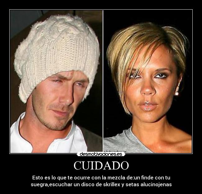 carteles skrillex desmotivaciones