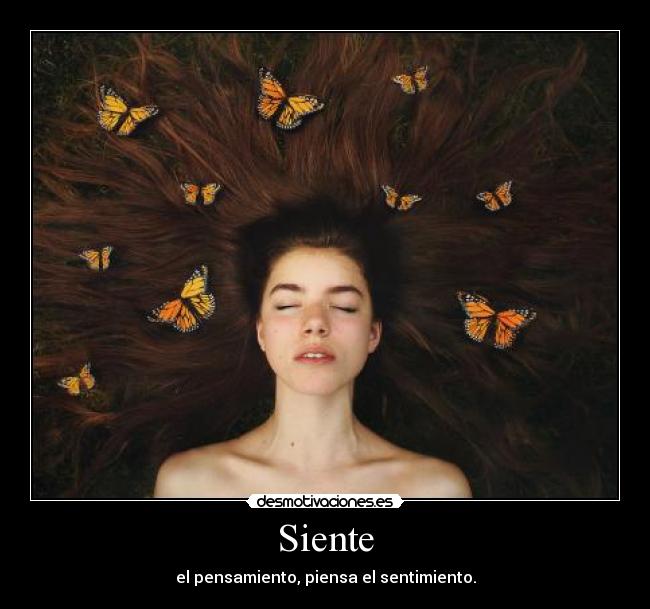 Siente - 