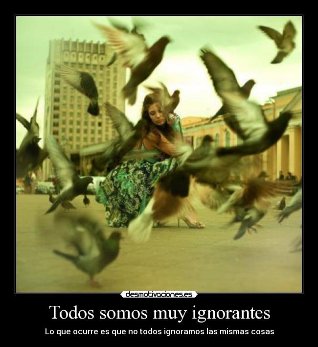 Todos somos muy ignorantes - 