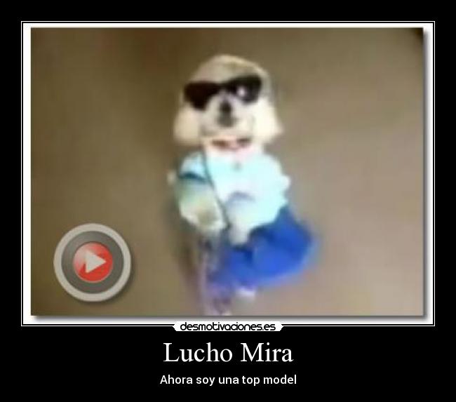 Lucho Mira -