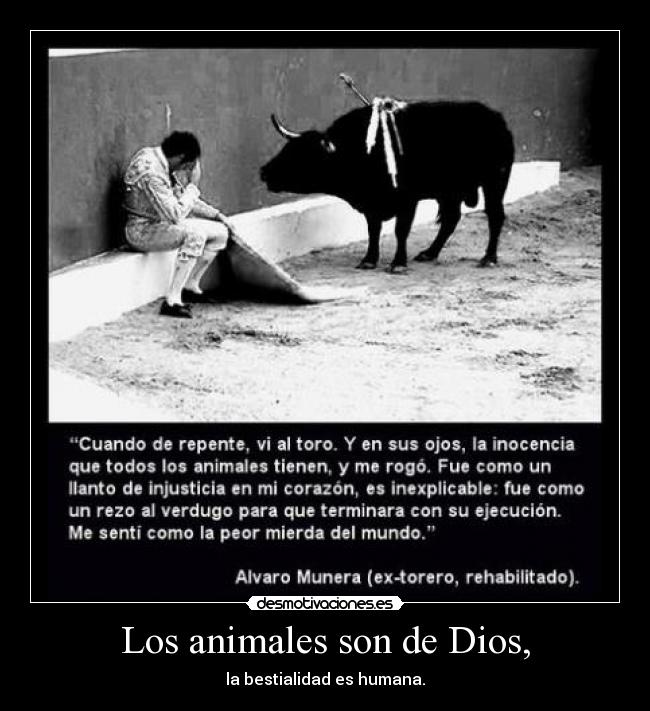 Los animales son de Dios, - la bestialidad es humana.
