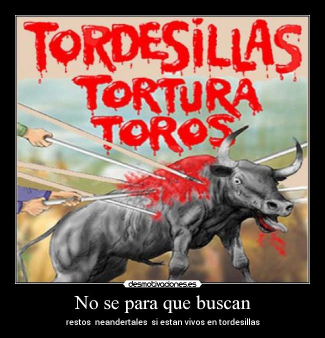 No se para que buscan - 