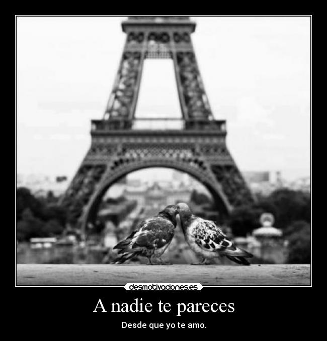 A nadie te pareces - Desde que yo te amo.