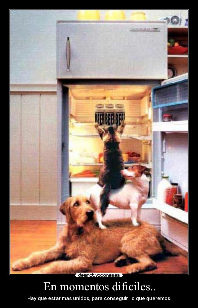 En momentos dificiles.. - 