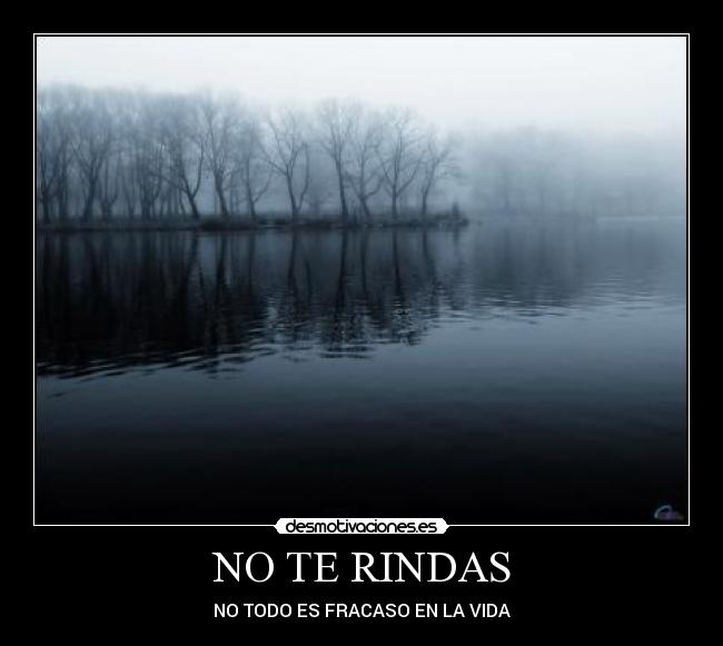 NO TE RINDAS -
