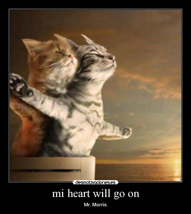mi heart will go on -