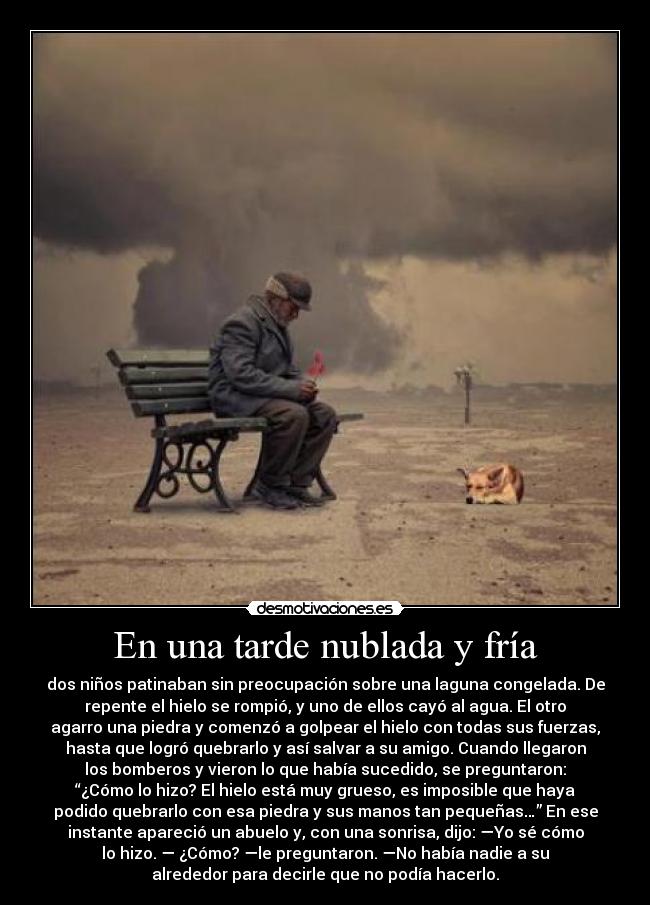 carteles nadie desmotivaciones