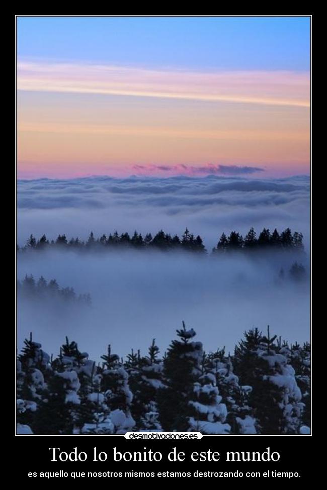 Todo lo bonito de este mundo -