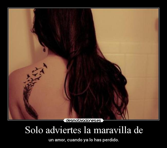 Solo adviertes la maravilla de - un amor, cuando ya lo has perdido.